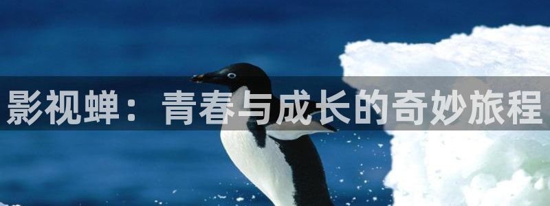 幸福花园全集观看樱花：影视蝉：青春与成长的奇妙旅程
