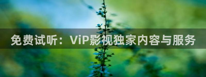 赛博朋克免费观看樱花动漫