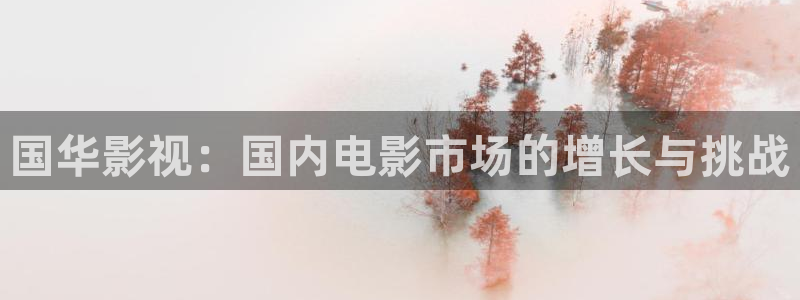 樱花视频pp