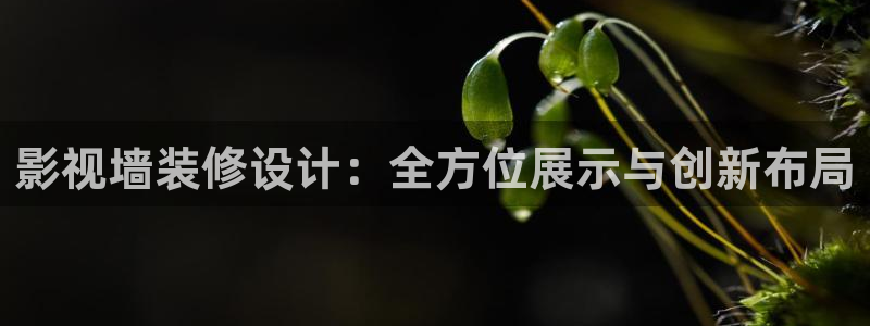 全职法师5全集免费观看樱花