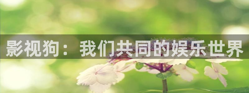 灵剑尊樱花免费观看